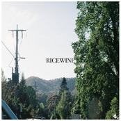 RICEWINE: Flood