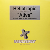 heliotropic