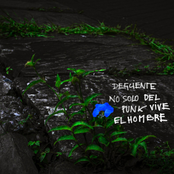 No Sólo del Punk Vive el Hombre