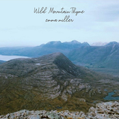 Wild Mountain Thyme