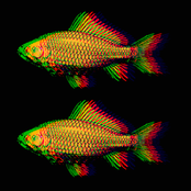 satanism, pornography, racism