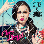 Swagger Jagger by Cher Lloyd