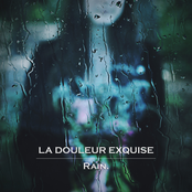 Rain.