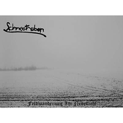 Feldwanderung Im Nebellicht