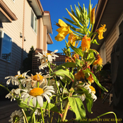 Eric Reprid: June Blues