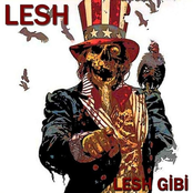 lesh