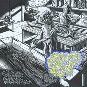 Cadaveric Rehydration