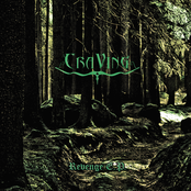 Voices In The Fog by Craving