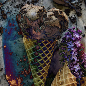 Ice Cream Institution