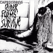 1977: Blood For Papa by Capricorns