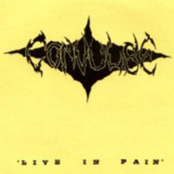 Live In Pain