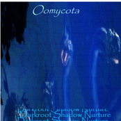 Darkroot Shadow Nurture