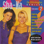 De Hit-Singles - Remixes (Vol. 2)