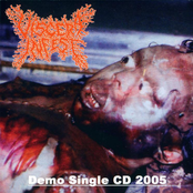 Demo Single CD