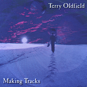 Nation by Terry Oldfield