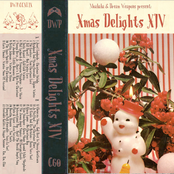 Dream Weapons Present: Xmas Delights, Vol. XIV