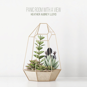 Panic Room With A View