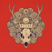Kenshi Yonezu: YANKEE