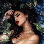 through my body you can see the light