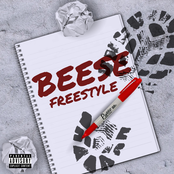 BEESE FREESTYLE