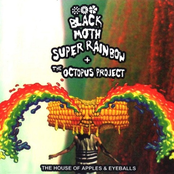 Lemon Lime Face by The Octopus Project & Black Moth Super Rainbow