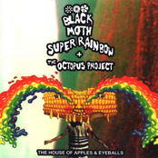 Royal Firecracker Teeth by The Octopus Project & Black Moth Super Rainbow