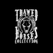 thawed horses collection