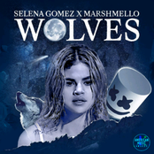 Wolves (Live at American Music Awards 2017) - Single