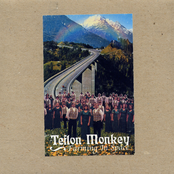 The Complete Works of Teflon Monkey 2000-2002