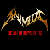 decade of bravehearts