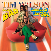 Tim Wilson: Super Bad Sounds Of The '70s