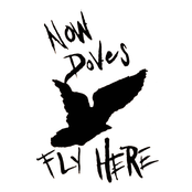 Now Doves Fly Here