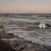 Waves and Shoreline Ambience