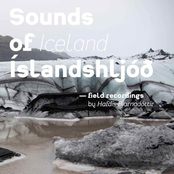 Sounds of Iceland - Field Recordings by Hafdís Bjarnadóttir
