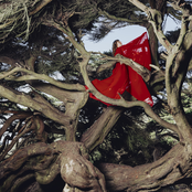 Hannah Frances: Surviving You