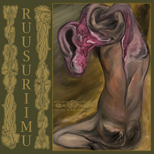 Kuoleva on koivu jolta mahlan joit