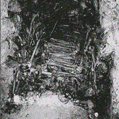 .​.​.​Of Rotting Soil and Spine