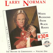 The Man From Galilee by Larry Norman