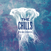 Moonlight On Flesh by The Chills