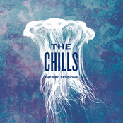 secret box: the chills’ rarities, 1980–2000