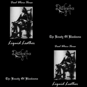 Liquid Leather / The Beauty of Blankness