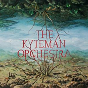 Preaching To The Choir by The Kyteman Orchestra