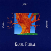 Tichá Je Voda by Karel Plíhal