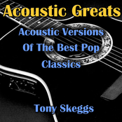 Acoustic Greats- Acoustic Versions Of The Best Pop Classics