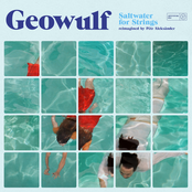 Geowulf: Saltwater For Strings (reimagined by Pêtr Aleksänder)