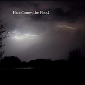 Here Comes the Flood - Single