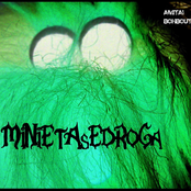 MiNiEtAsEdRoGa / experimental2