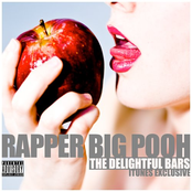 Radio by Rapper Big Pooh