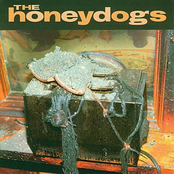 What I Want by The Honeydogs