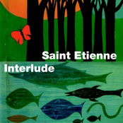 Red Setter by Saint Etienne